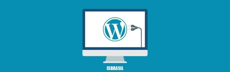 Plugins básicos que todo WordPress precisa