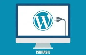Plugins básicos que todo WordPress precisa