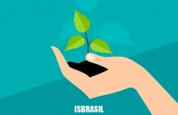 Como gerar mais tráfego orgânico?